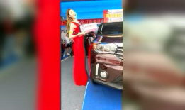 麻豆车牌号,探寻车牌背后的文化韵味