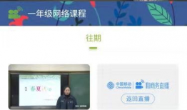 在线直播 91 无忧草,揭秘直播界的绿色生态之旅