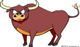 动物动漫画,漫绘奇遇记